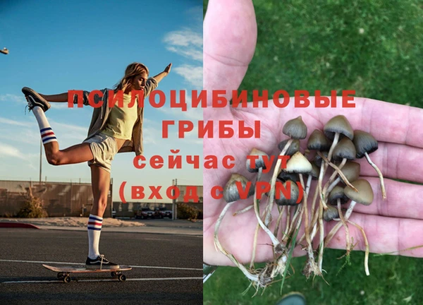 а пвп мука Абинск