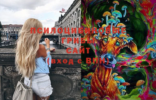 герыч Козловка