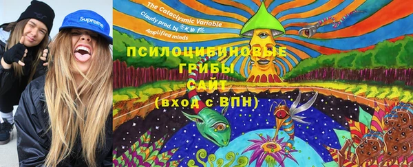 PSILOCYBIN Покров